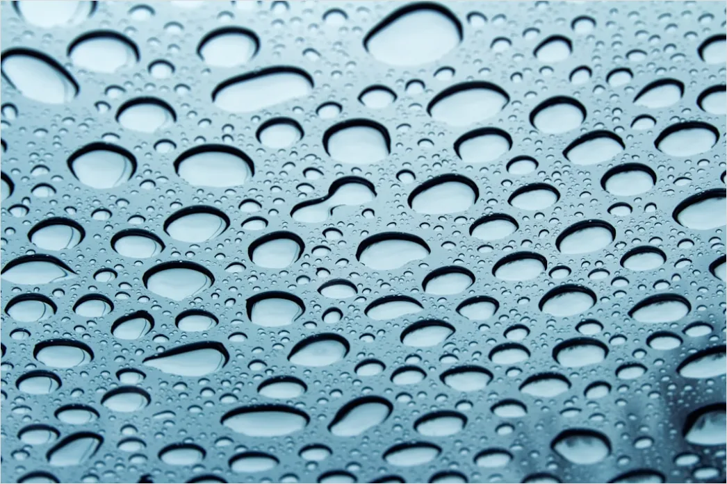 Detail Condensation Droplets Macro Number 5