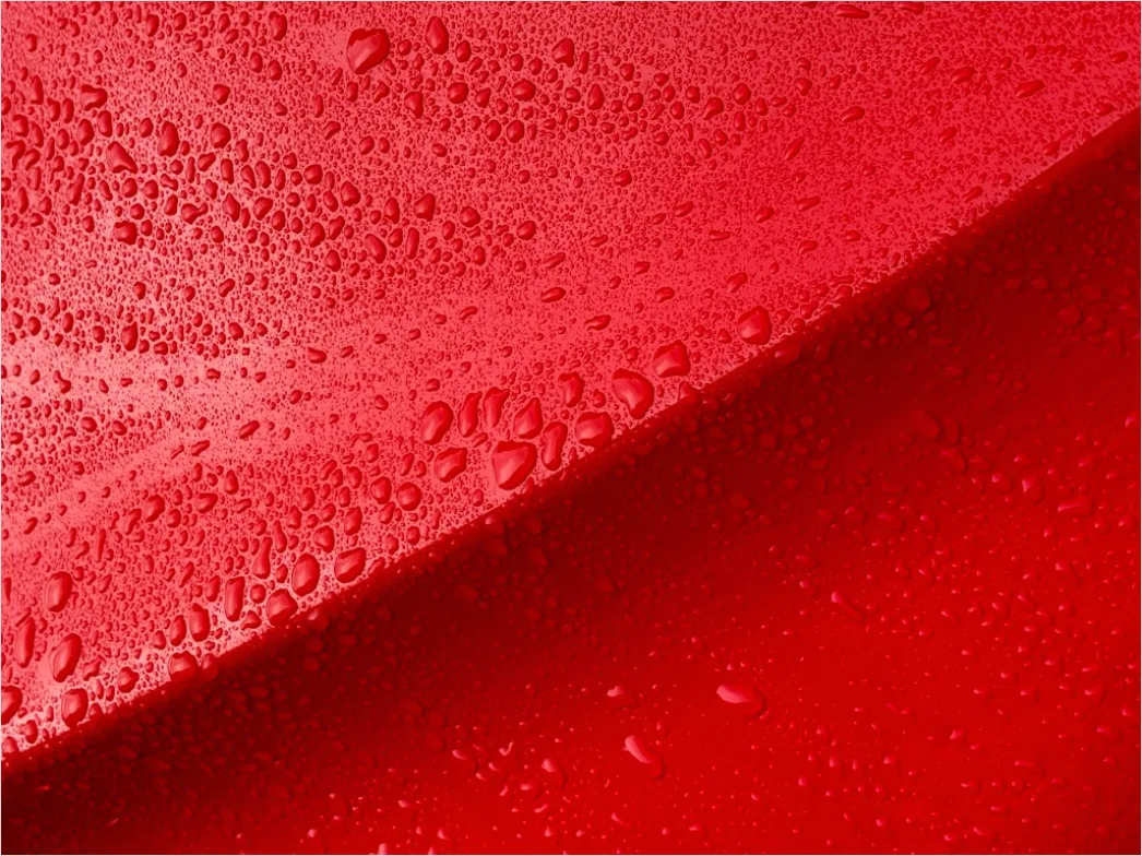 Detail Condensation Droplets Macro Number 6