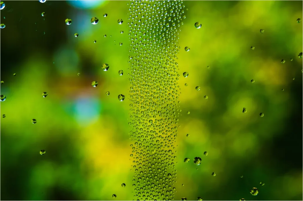 Detail Condensation Droplets Macro Number 7
