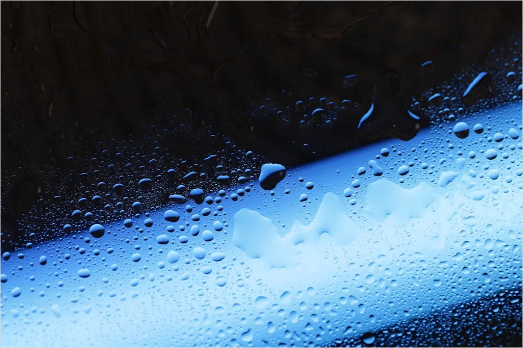 Detail Condensation Droplets Macro Number 8