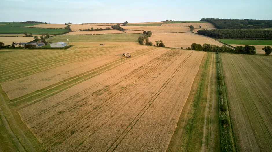 Detail Drone Aerial View Farmland Number 11