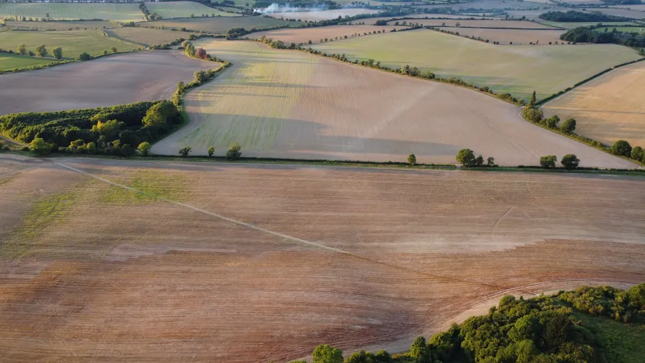 Detail Drone Aerial View Farmland Number 13