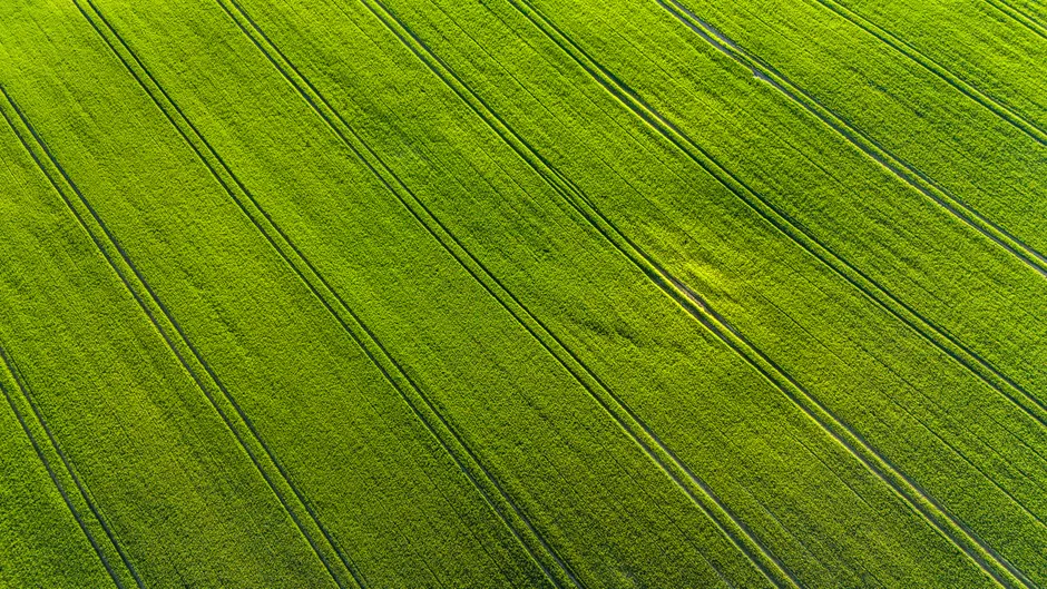 Detail Drone Aerial View Farmland Number 16