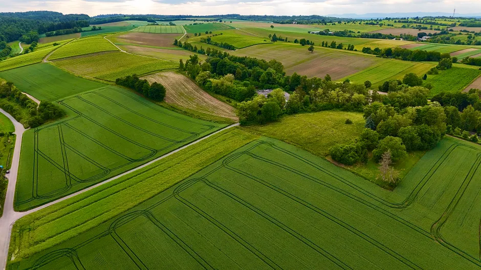 Detail Drone Aerial View Farmland Number 17