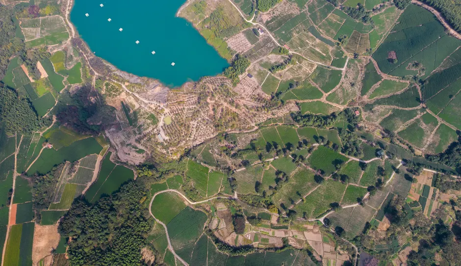 Detail Drone Aerial View Farmland Number 4