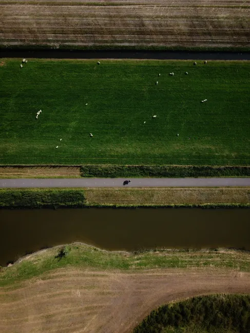 Detail Drone Aerial View Farmland Number 9