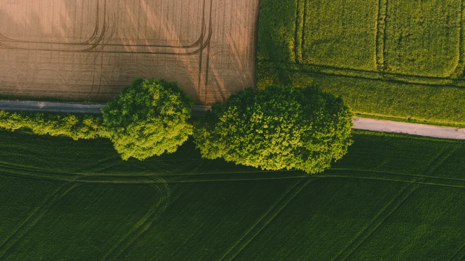 Detail Drone Aerial View Farmland Number 10