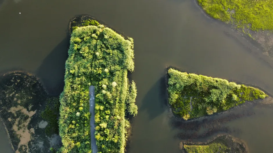 Detail Drone Aerial View Island Number 18