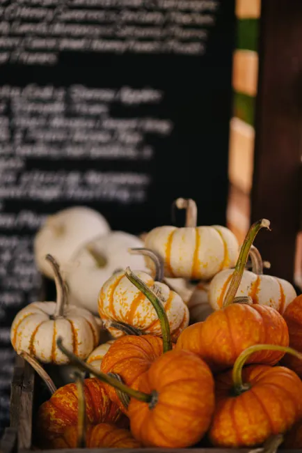 Fall Pumpkin Close Up Bfbc