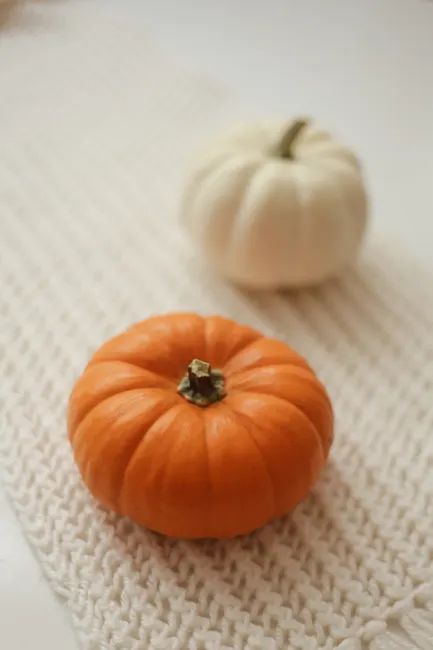 Detail Fall Pumpkin Close Up Number 20