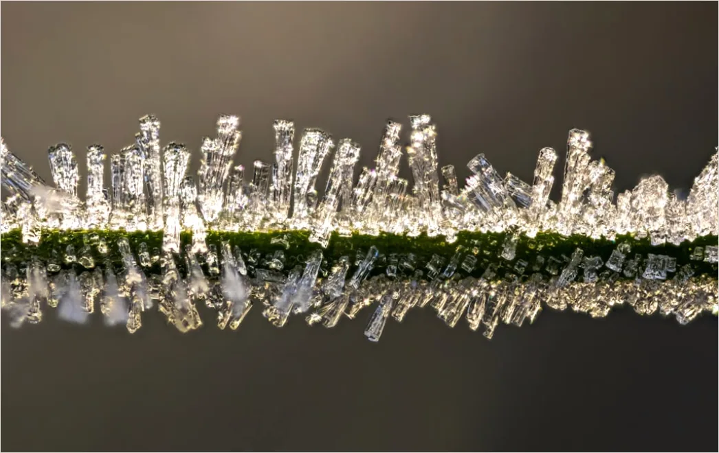 Detail Frost Macro Number 12
