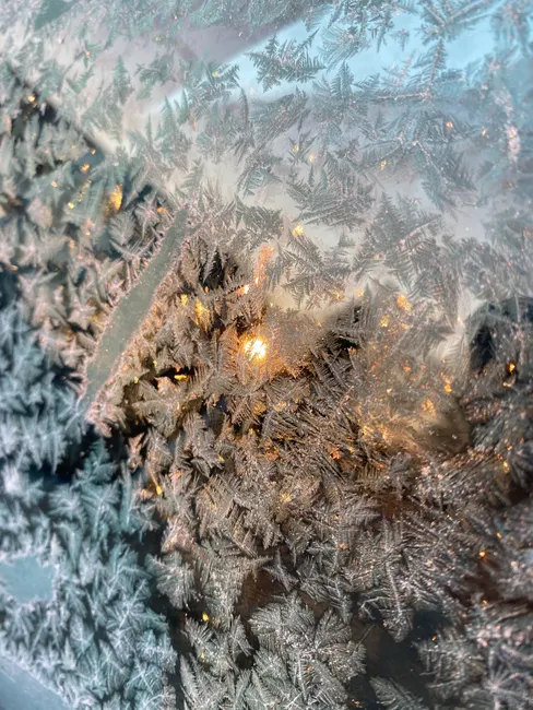 Detail Frost On Window Close Up Number 11
