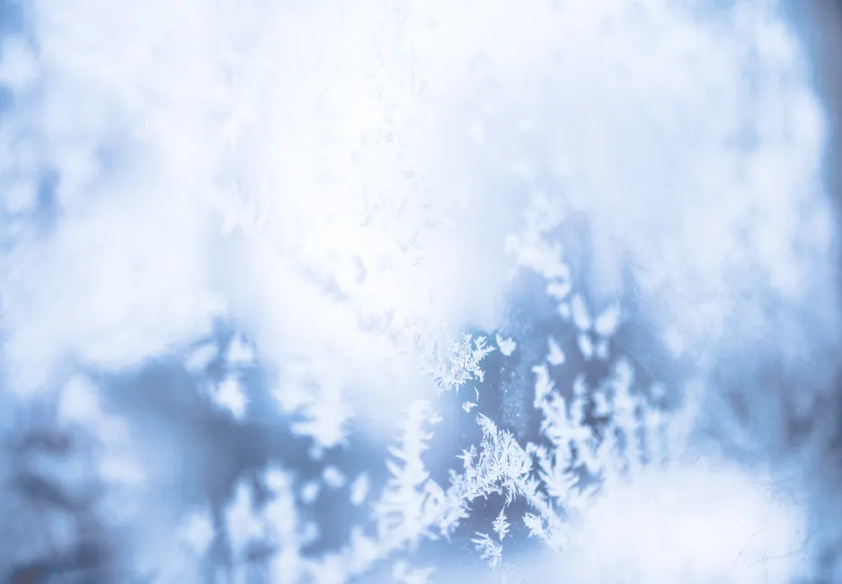 Detail Frost On Window Close Up Number 12