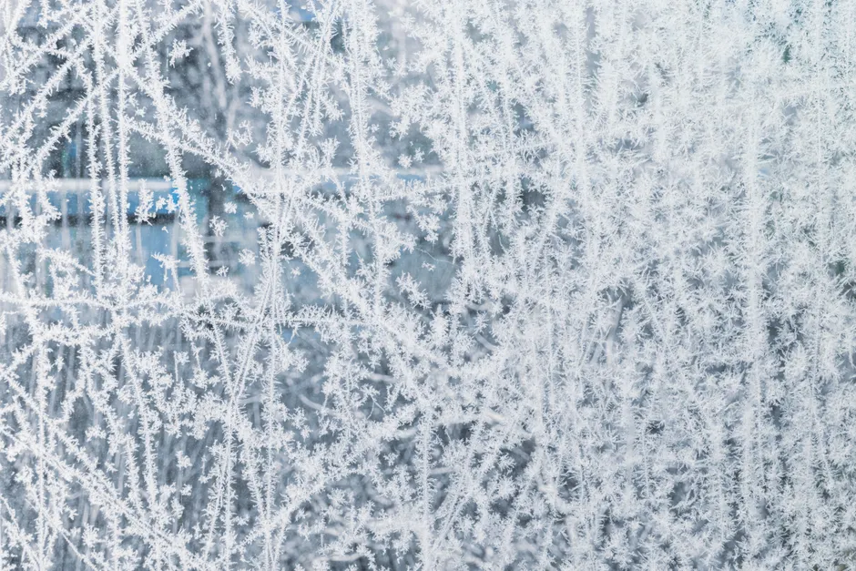 Detail Frost On Window Close Up Number 13