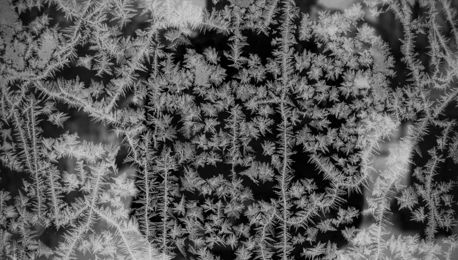 Detail Frost On Window Close Up Number 14