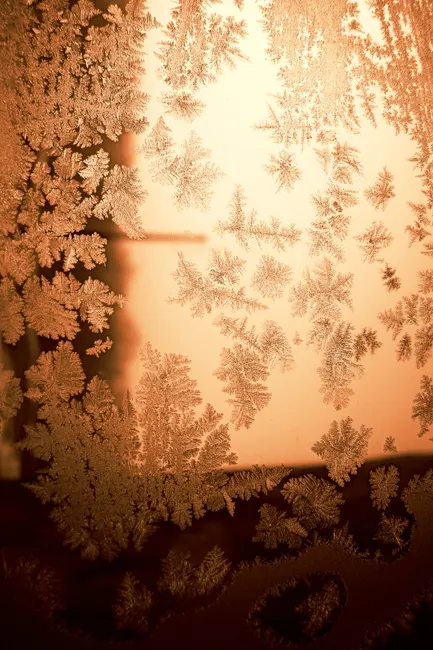Detail Frost On Window Close Up Number 15