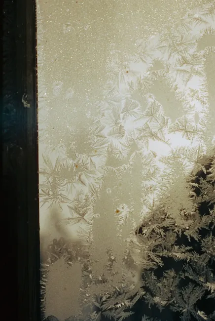 Detail Frost On Window Close Up Number 16