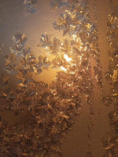 Detail Frost On Window Close Up Number 17