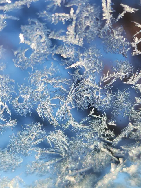 Detail Frost On Window Close Up Number 19