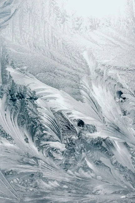 Detail Frost On Window Close Up Number 4