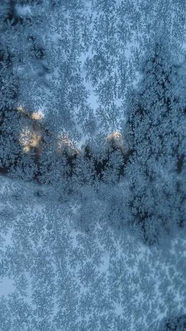 Detail Frost On Window Close Up Number 5