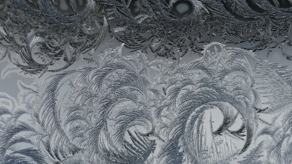 Detail Frost On Window Close Up Number 6