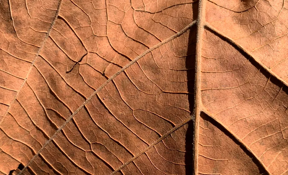 Detail Geometric Pattern Macro Number 20
