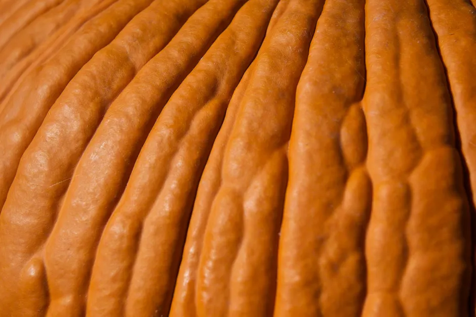 Detail Halloween Pumpkin Texture Close Up Number 2