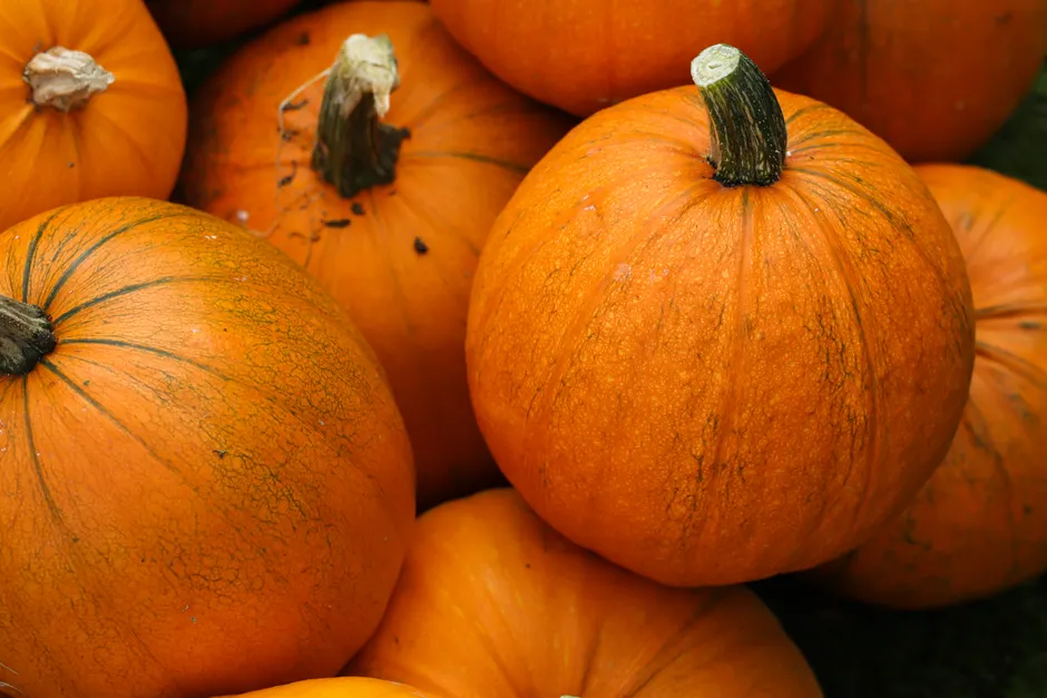 Detail Halloween Pumpkin Texture Close Up Number 13