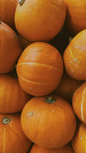 Detail Halloween Pumpkin Texture Close Up Number 15