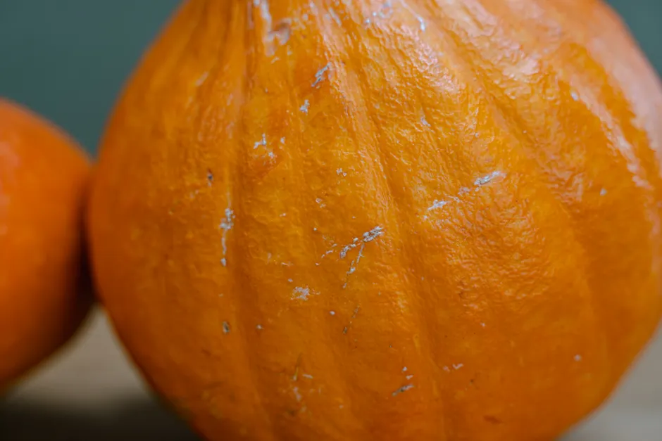 Detail Halloween Pumpkin Texture Close Up Number 17