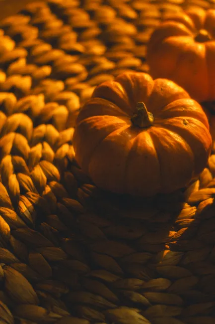Detail Halloween Pumpkin Texture Close Up Number 19