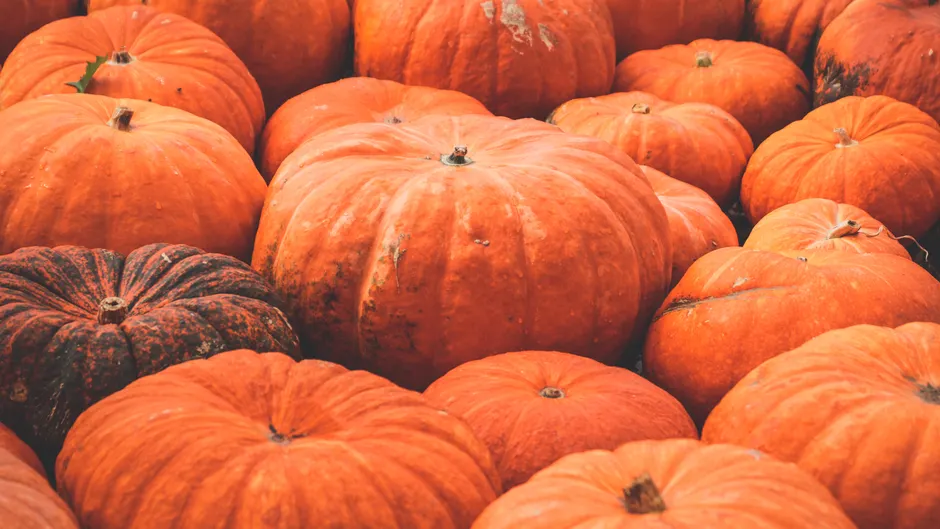 Detail Halloween Pumpkin Texture Close Up Number 3