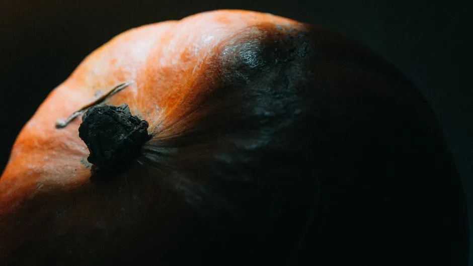 Detail Halloween Pumpkin Texture Close Up Number 10