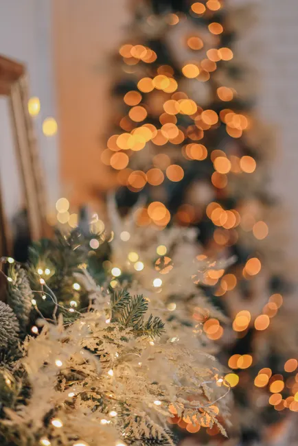 Detail Holiday Lights Bokeh Close Up Number 12