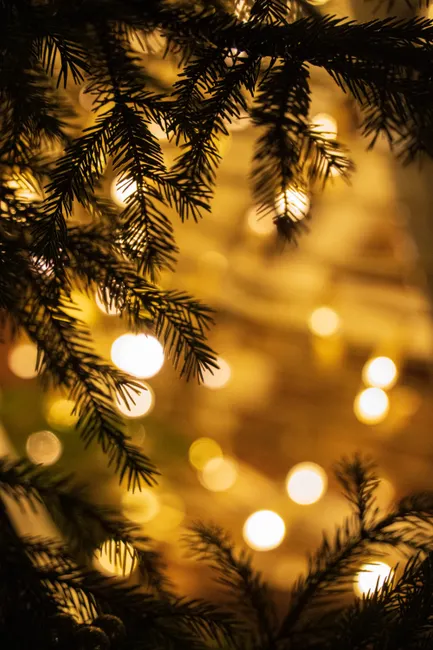Detail Holiday Lights Bokeh Close Up Number 15