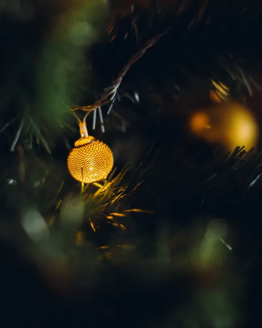Detail Holiday Lights Bokeh Close Up Number 18