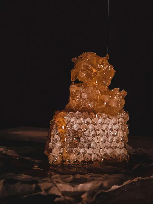Detail Honey Dripping Macro Number 2