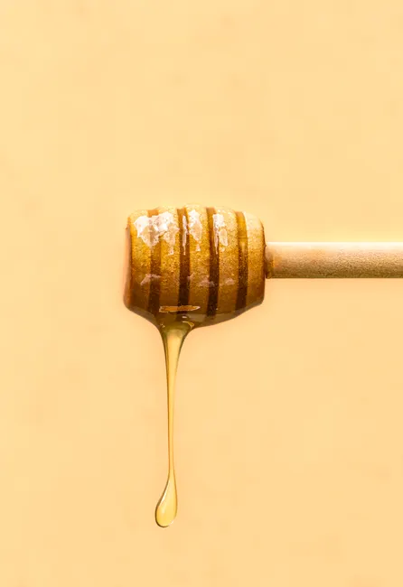 Detail Honey Dripping Macro Number 12