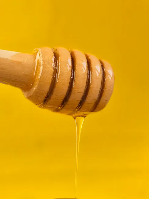 Detail Honey Dripping Macro Number 13