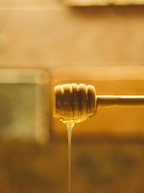 Detail Honey Dripping Macro Number 3