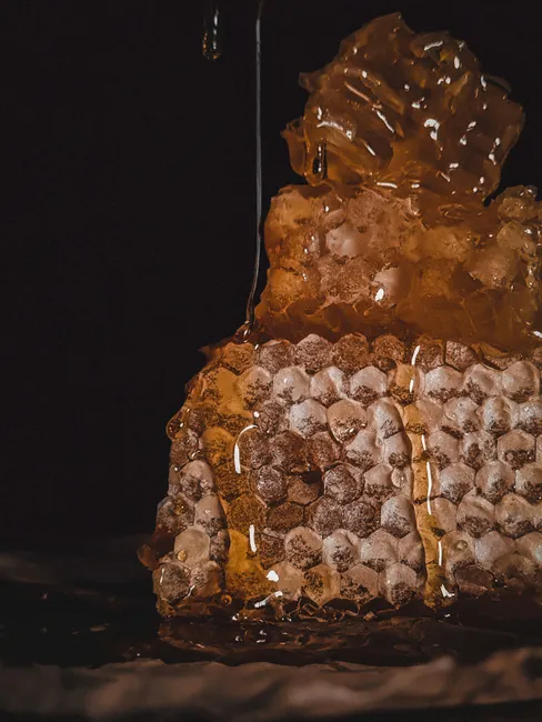 Detail Honey Dripping Macro Number 7