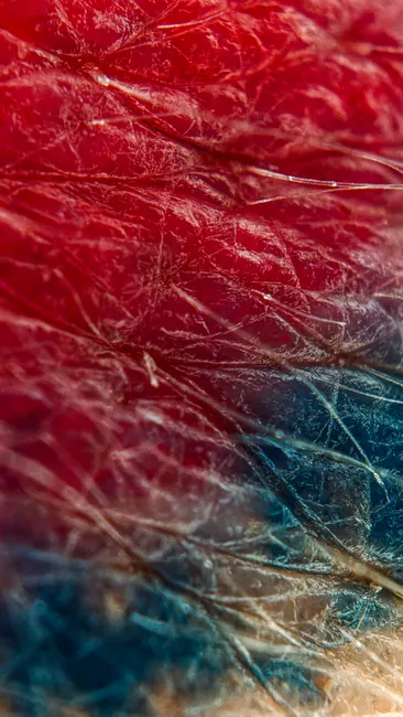 Detail Macro Abstract Background Number 5