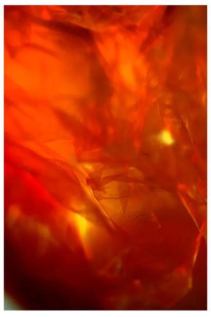 Detail Macro Abstract Background Number 10