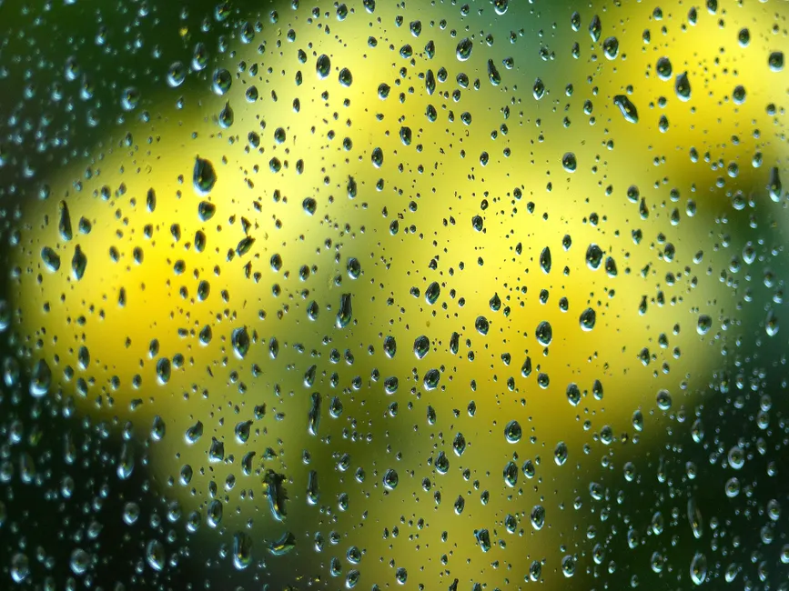 Detail Macro Background Texture Wallpaper Number 16