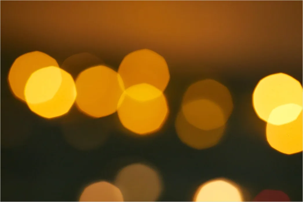Detail Macro Bokeh Number 14
