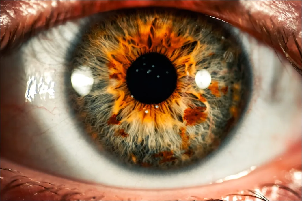 Macro Photography F206