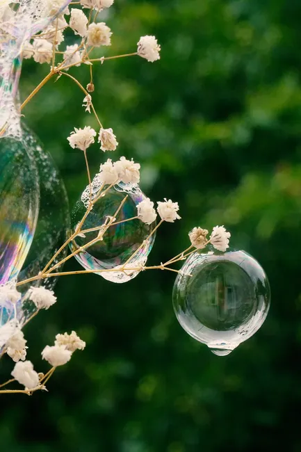 Detail Macro Photography Soap Bubbles Number 3