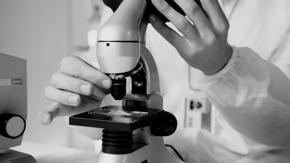 Detail Microscope Close Up Number 11