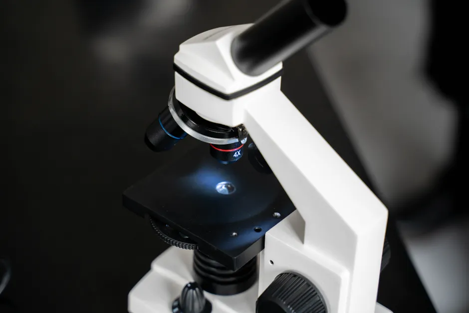 Detail Microscope Close Up Number 12
